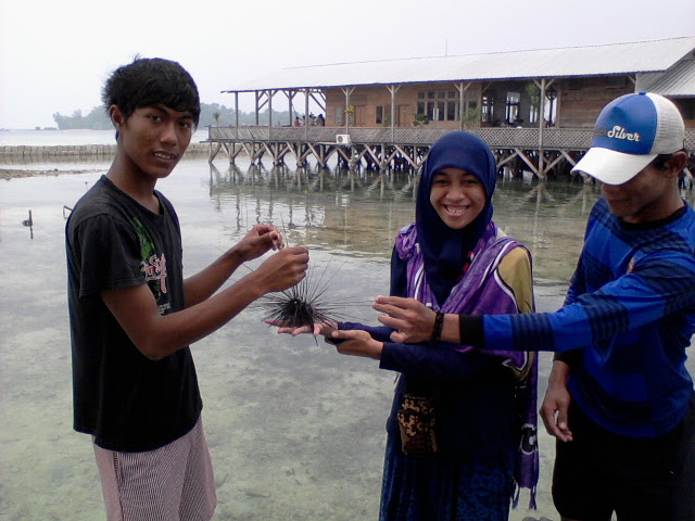 Teman Baru Di Pulau Pramuka Teman Baru Di Pulau Pramuka