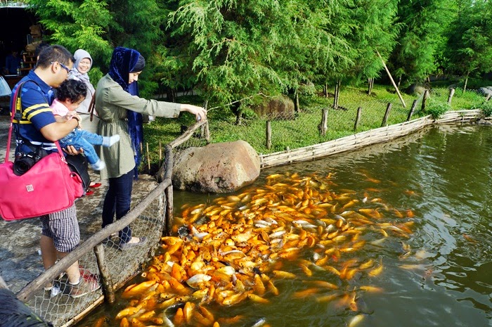 Yang Dapat Dinikmati di Floating Market Yang Dapat Dinikmati di Floating Market